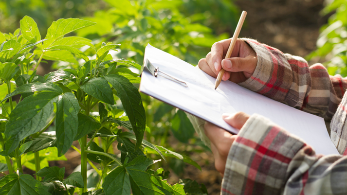 Resilient Agribusiness