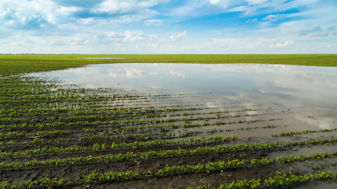 Wide farm field with an irrigation system
