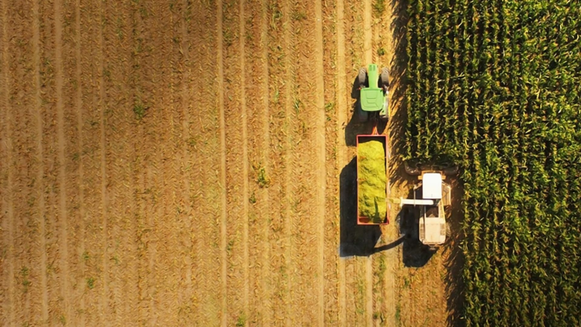 Section 179 - Harvesting Crops
