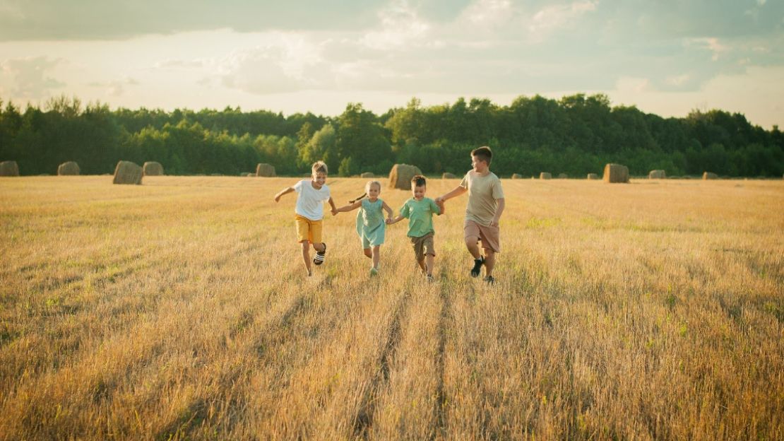 Kids Playing in a Farmland